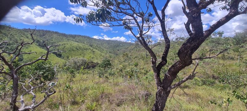 Imagem de LINDO LOTE EM CIMA DO MORRO