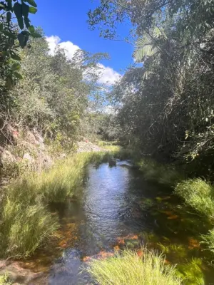 Imagem de 🌳 CHARMOSO LOTE RURAL COM GALPÃO E FRUTÍFERAS – JUNTO À NATUREZA 🌳