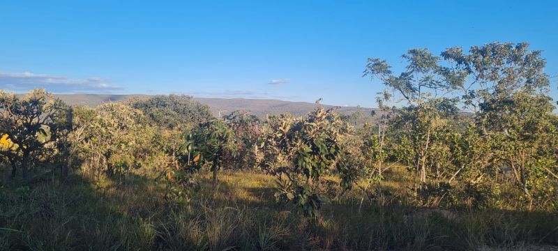 Imagem de LINDO LOTE NA PARTE ALTA DA CIDADE