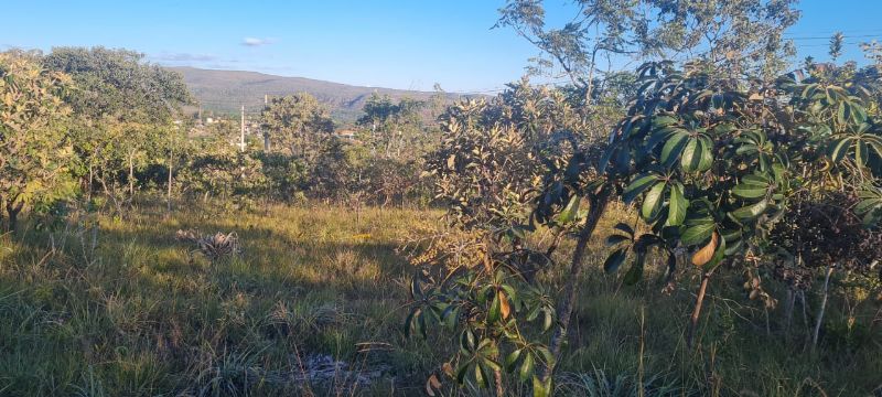 Imagem de LINDO LOTE NA PARTE ALTA DA CIDADE