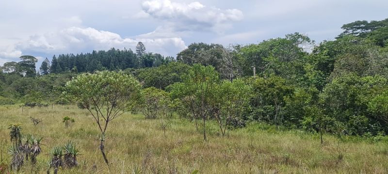 Imagem de OPORTUNIDADE NA  CHAPADA