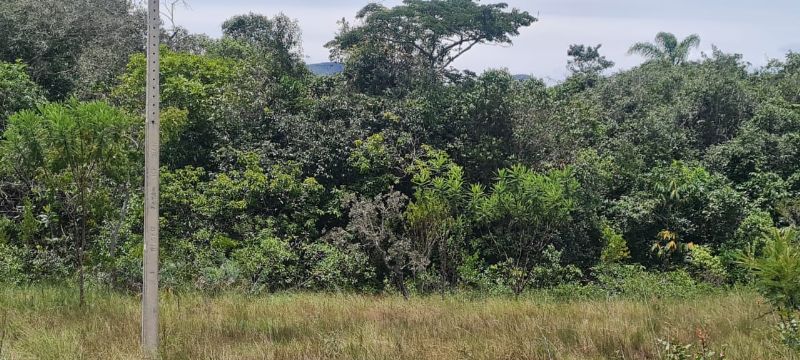 Imagem de OPORTUNIDADE NA  CHAPADA