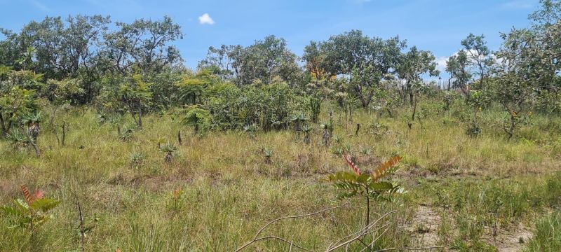 Imagem de OPORTUNIDADE NA  CHAPADA