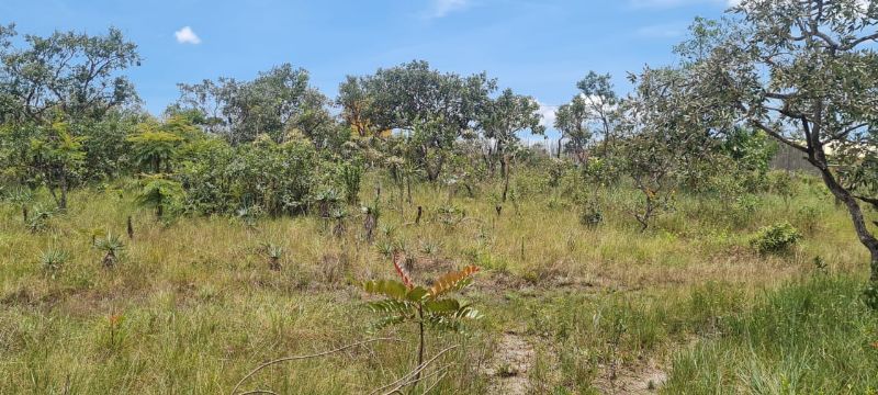 Imagem de OPORTUNIDADE NA  CHAPADA