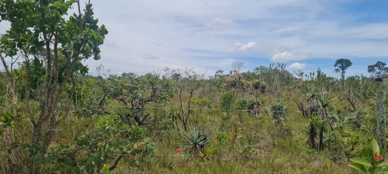 Imagem de OPORTUNIDADE NA  CHAPADA