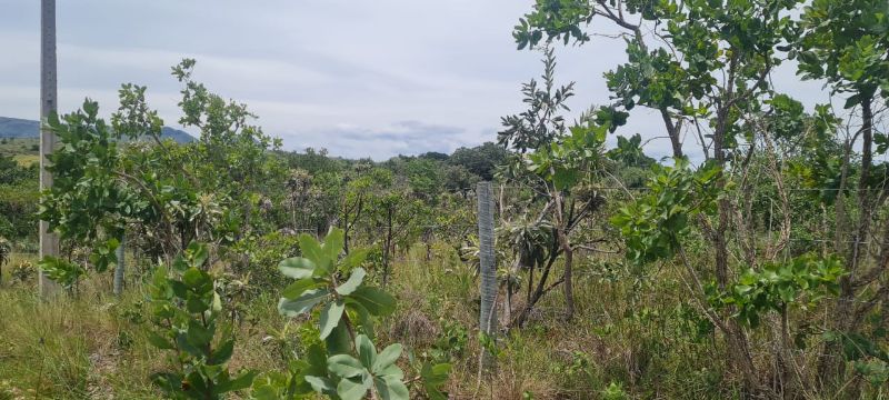 Imagem de OPORTUNIDADE NA  CHAPADA