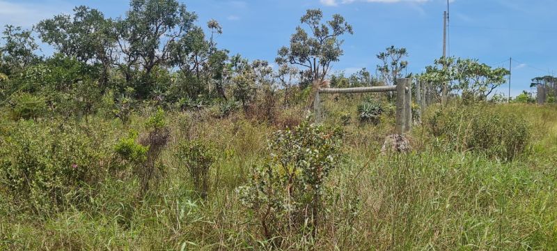 Imagem de OPORTUNIDADE NA  CHAPADA