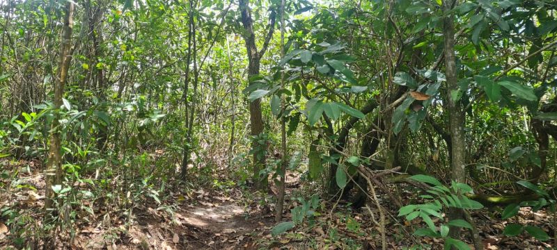 Imagem de OPORTUNIDADE NA  CHAPADA