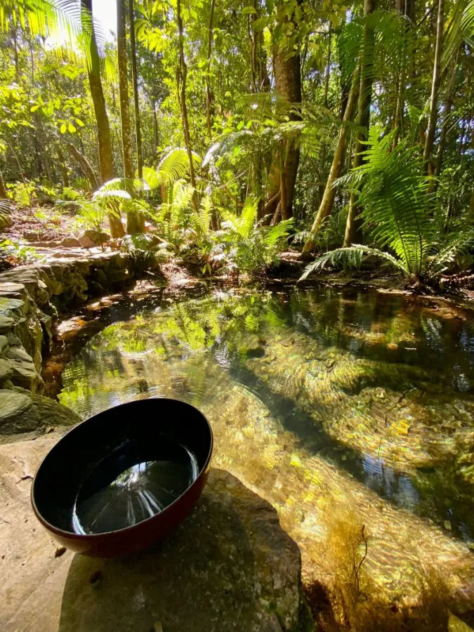 Imagem de BELISSÍMA CASA COM ÓTIMO ESPAÇO DE VIVÊNCIA E TERAPIAS