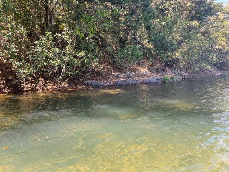 Imagem de TERRA COM MUITA ÁGUA - 4 HECTARES