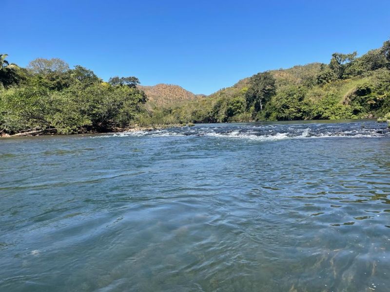 Imagem de TERRA COM MUITA ÁGUA - 4 HECTARES