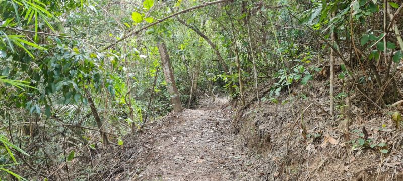 Imagem de TERRA COM MUITA ÁGUA - 4 HECTARES