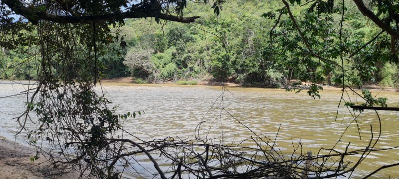 Imagem de TERRA COM MUITA ÁGUA - 4 HECTARES