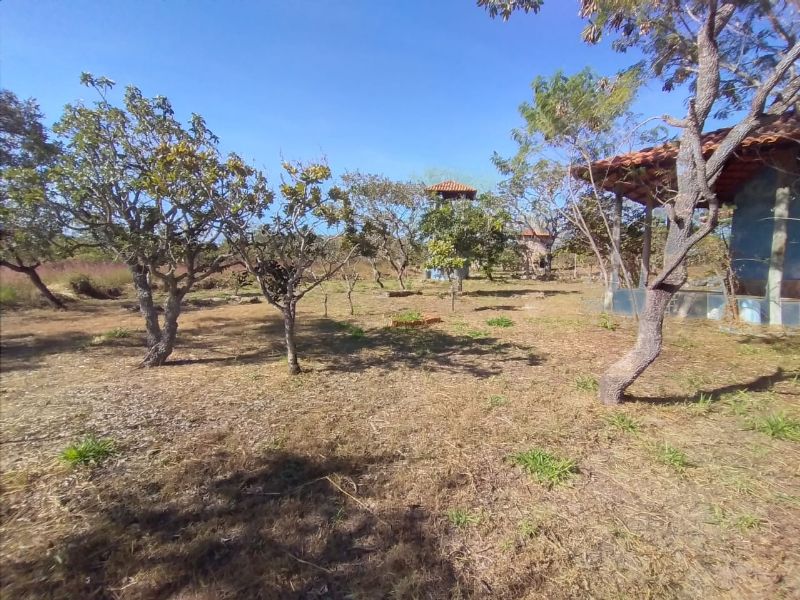 Imagem de TERRA DE 4 HECTARES NO VALE VERDE