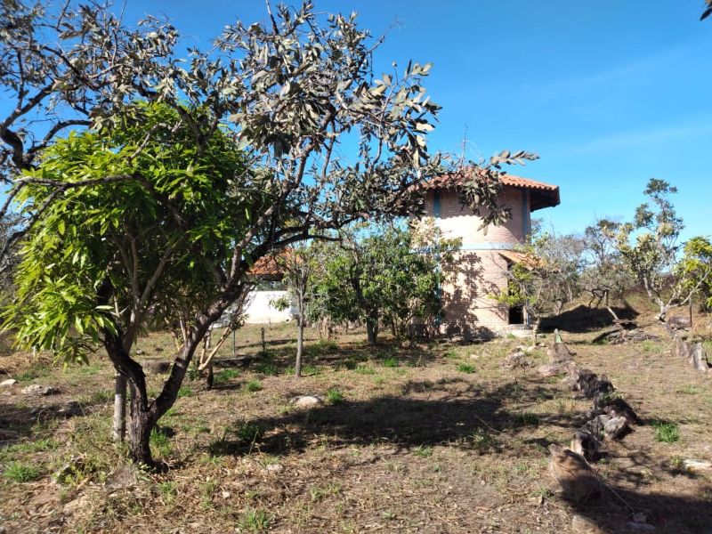 Imagem de TERRA DE 4 HECTARES NO VALE VERDE