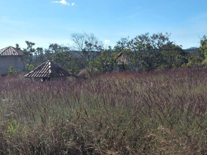 Imagem de TERRA DE 4 HECTARES NO VALE VERDE