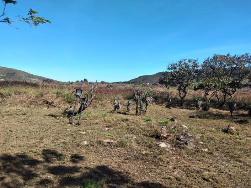 Imagem de TERRA DE 4 HECTARES NO VALE VERDE