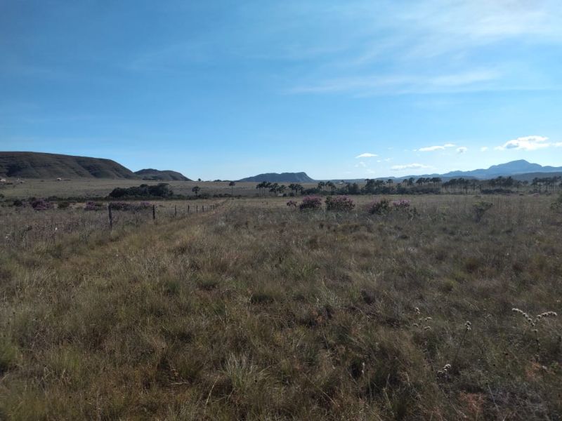 Imagem de TERRA DE 4 HECTARES NO VALE VERDE