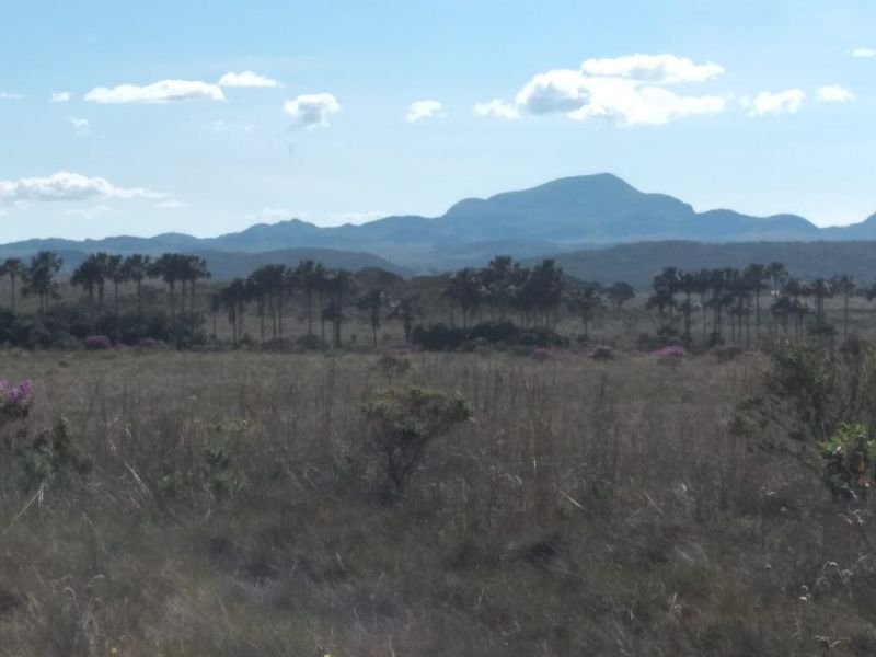 Imagem de TERRA DE 4 HECTARES NO VALE VERDE