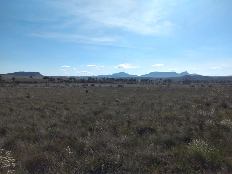 Imagem de TERRA DE 4 HECTARES NO VALE VERDE