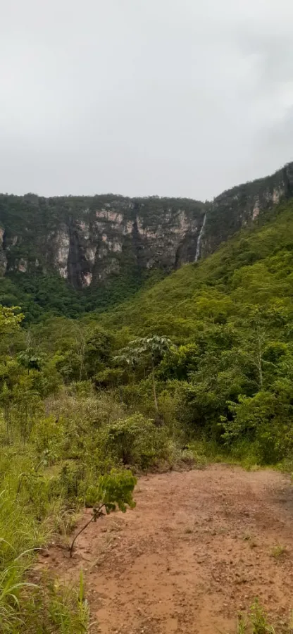 Imagem de LINDA TERRA À 12KM DA CIDADE