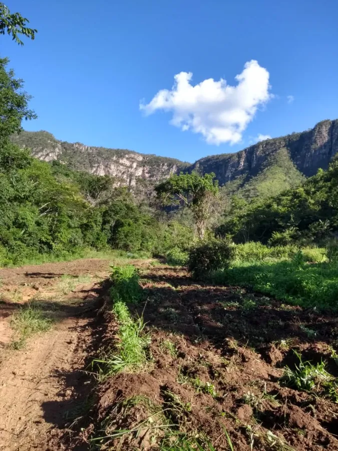 Imagem de LINDA TERRA À 12KM DA CIDADE