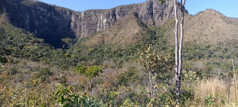 Imagem de LINDA TERRA À 12KM DA CIDADE