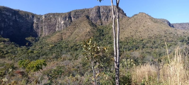 Imagem de LINDA TERRA À 12KM DA CIDADE