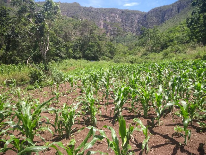 Imagem de LINDA TERRA À 12KM DA CIDADE