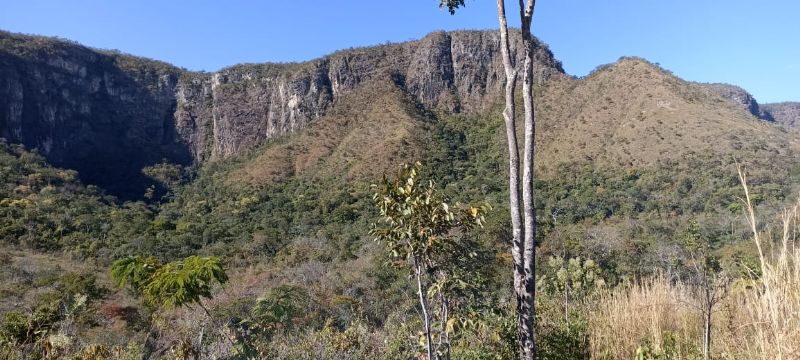 Imagem de LINDA TERRA À 12KM DA CIDADE