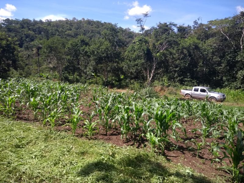 Imagem de LINDA TERRA À 12KM DA CIDADE