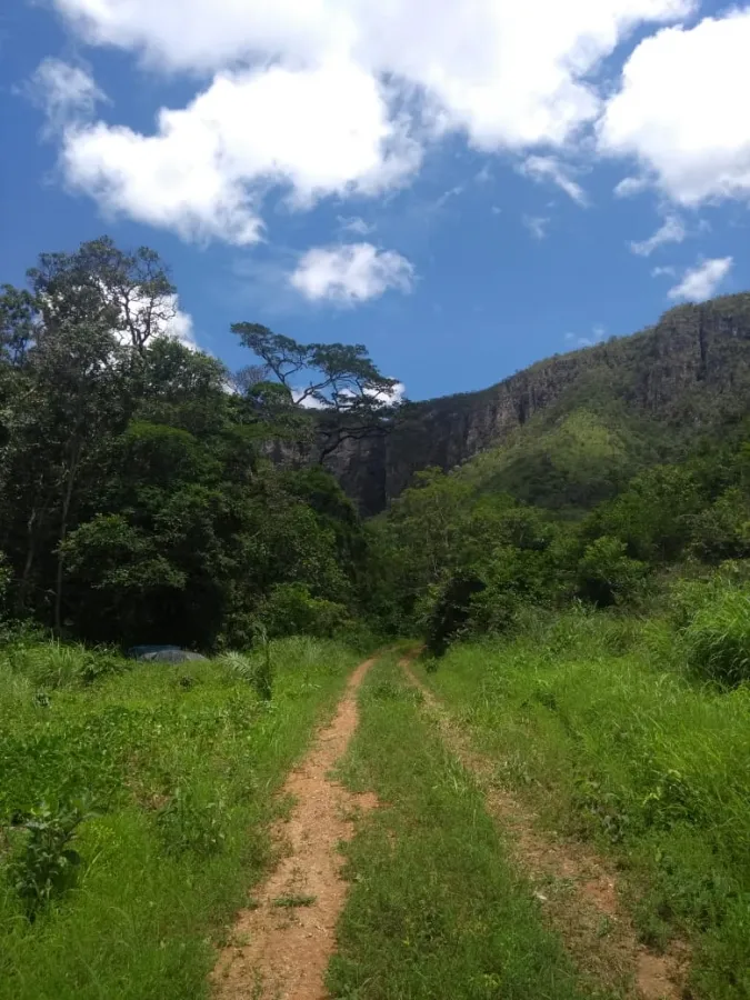 Imagem de LINDA TERRA À 12KM DA CIDADE