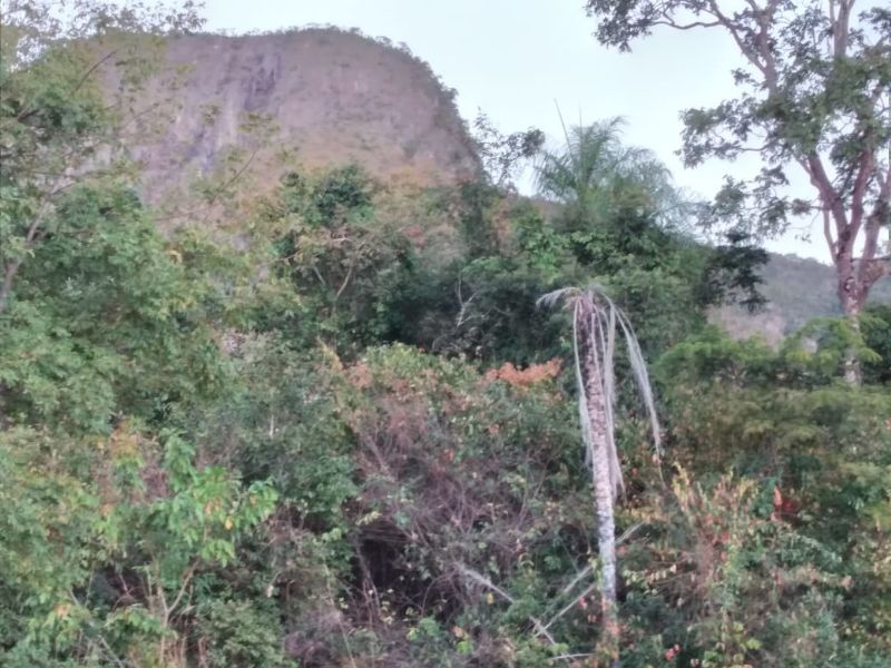 Imagem de LINDA TERRA À 12KM DA CIDADE