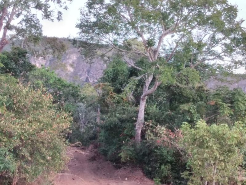 Imagem de LINDA TERRA À 12KM DA CIDADE