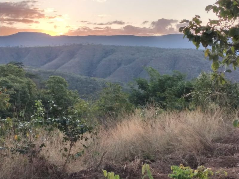 Imagem de LINDA TERRA À 12KM DA CIDADE