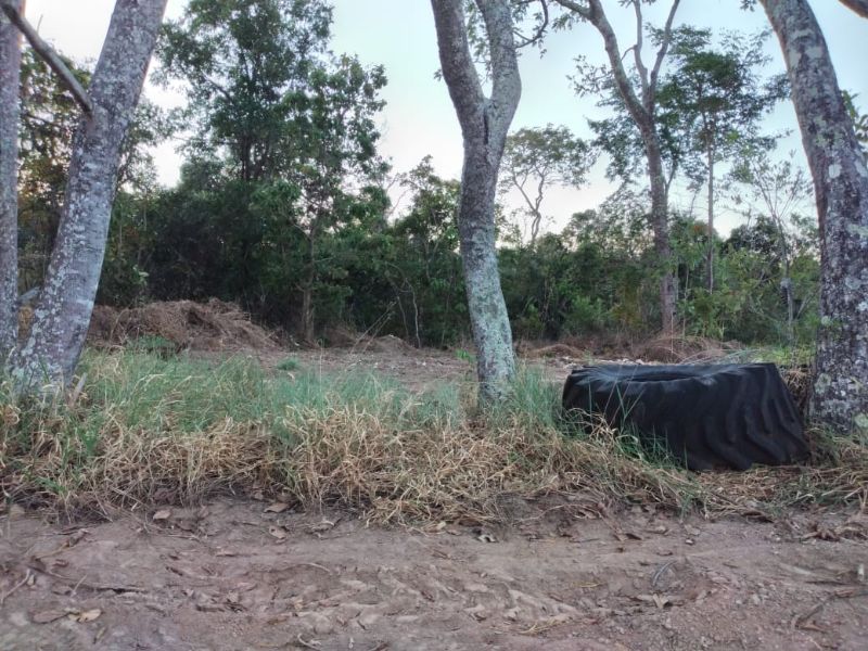 Imagem de LINDA TERRA À 12KM DA CIDADE