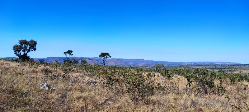 Imagem de ÓTIMA OPORTUNIDADE NA CHAPADA