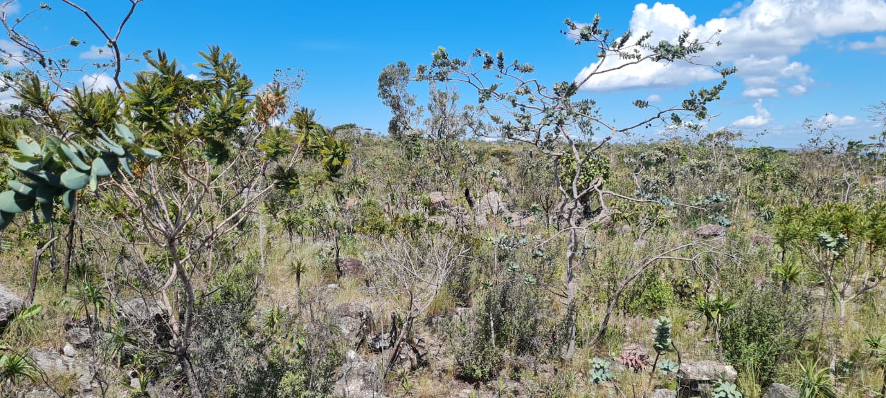 Imagem de ÓTIMA OPORTUNIDADE NA CHAPADA