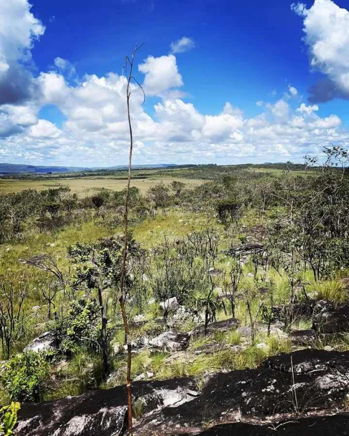 Imagem de ÓTIMA OPORTUNIDADE NA CHAPADA