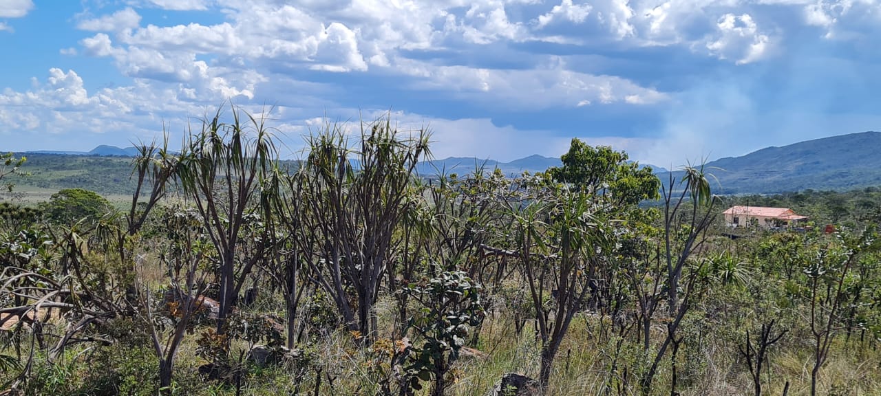 Imagem de ÓTIMA OPORTUNIDADE NA CHAPADA