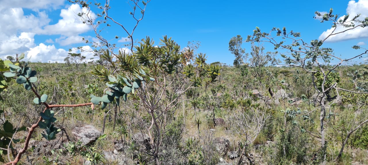 Imagem de ÓTIMA OPORTUNIDADE NA CHAPADA