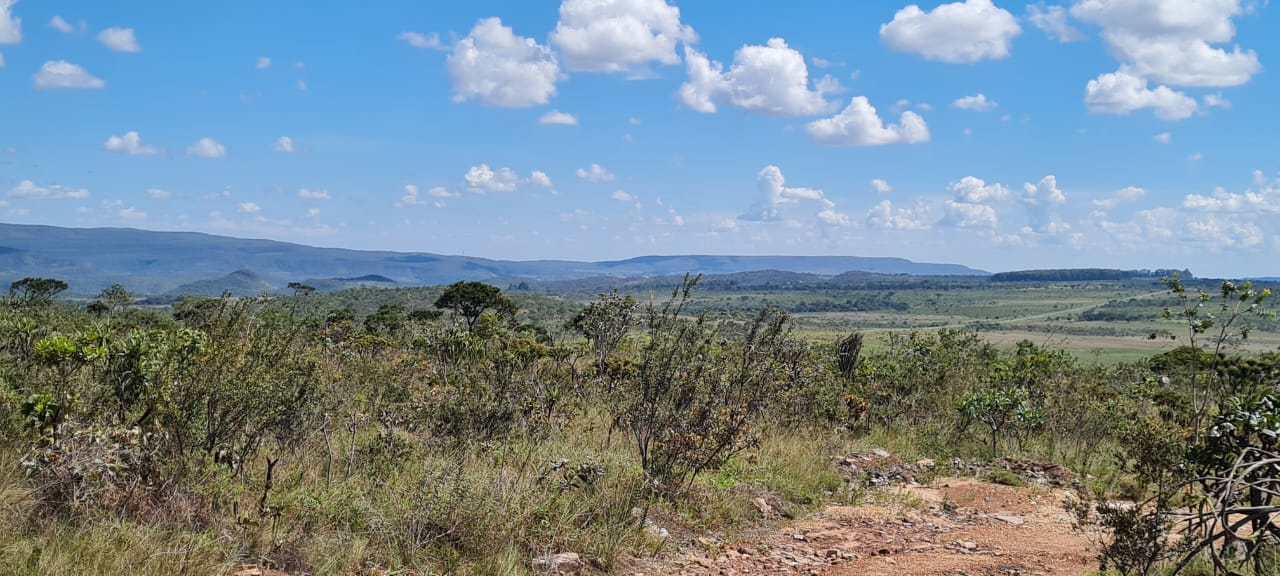 Imagem de ÓTIMA OPORTUNIDADE NA CHAPADA