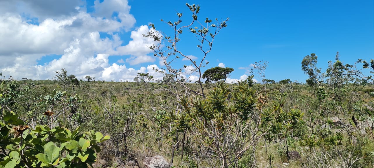 Imagem de ÓTIMA OPORTUNIDADE NA CHAPADA