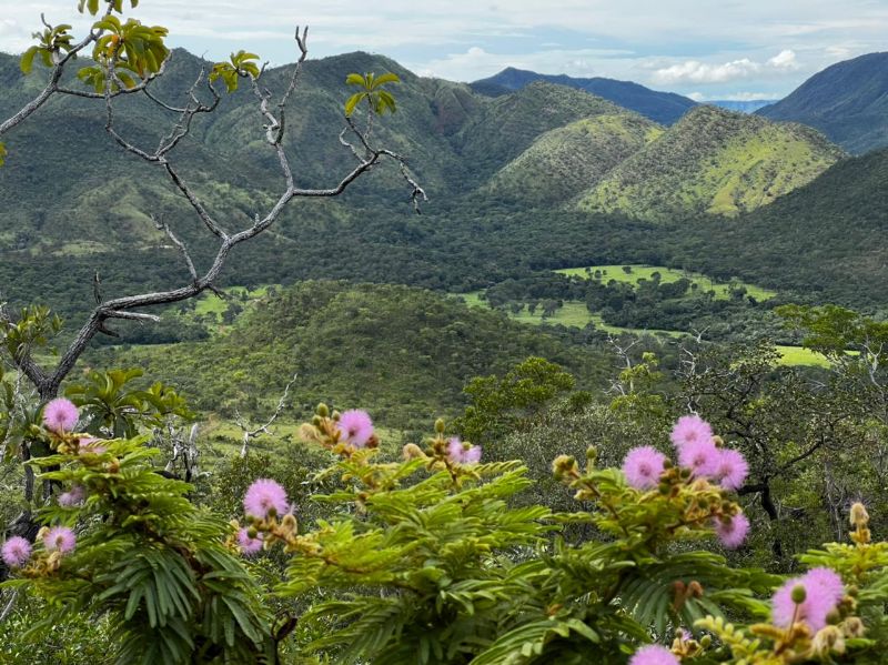 Imagem de LINDA TERRA COM VISTA ESPETACULAR EM CONDOMÍNIO