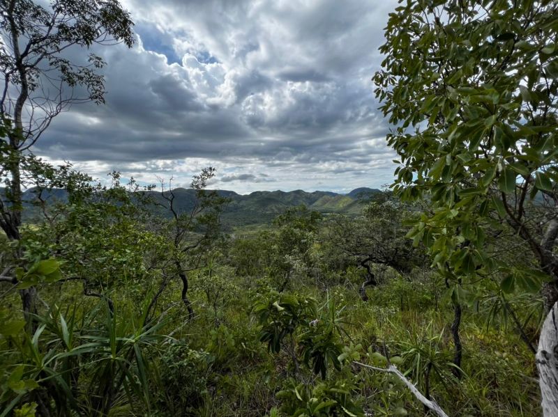 Imagem de LINDA TERRA COM VISTA ESPETACULAR EM CONDOMÍNIO