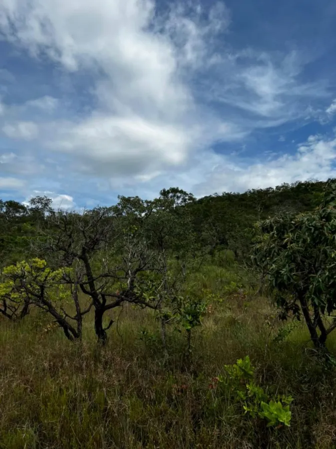 Imagem de LINDA TERRA COM VISTA ESPETACULAR EM CONDOMÍNIO