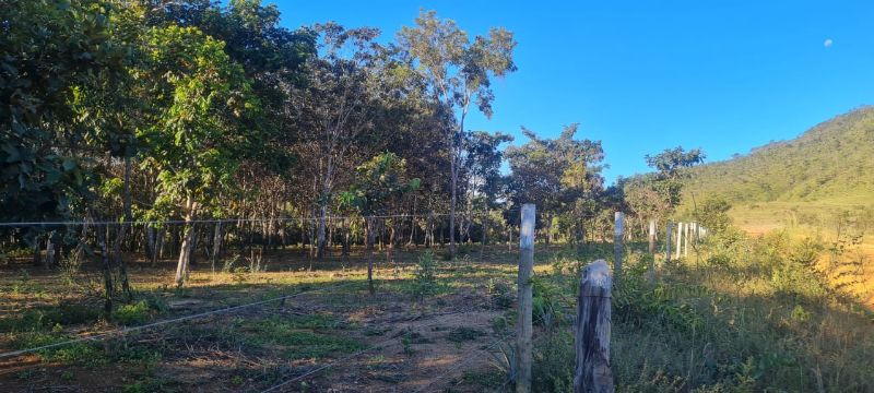 Imagem de EXCELENTE TERRA COM DUAS CASAS E MUITA ÁGUA  - 2 HECTARES E MEIO