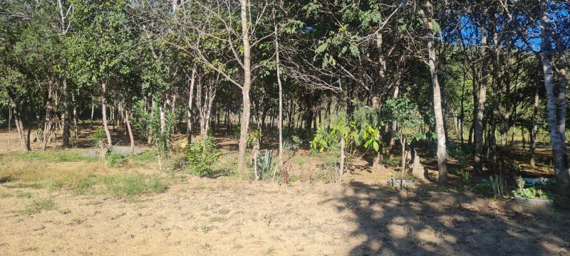 Imagem de EXCELENTE TERRA COM DUAS CASAS E MUITA ÁGUA  - 2 HECTARES E MEIO