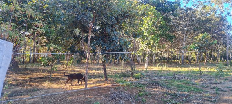 Imagem de EXCELENTE TERRA COM DUAS CASAS E MUITA ÁGUA  - 2 HECTARES E MEIO