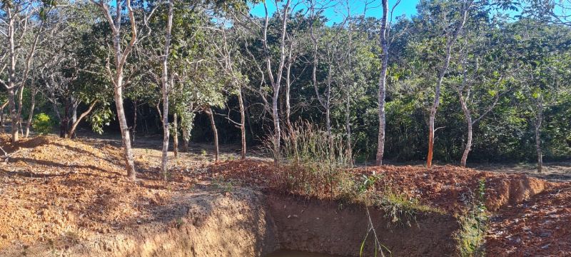 Imagem de EXCELENTE TERRA COM DUAS CASAS E MUITA ÁGUA  - 2 HECTARES E MEIO